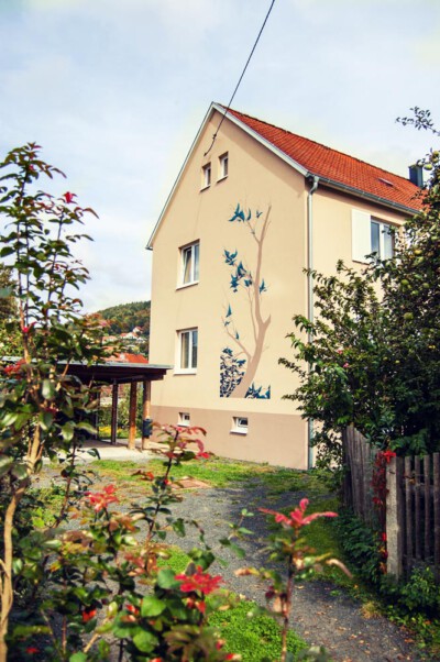 Einfahrt zur Ferienwohnung Außenansicht 2